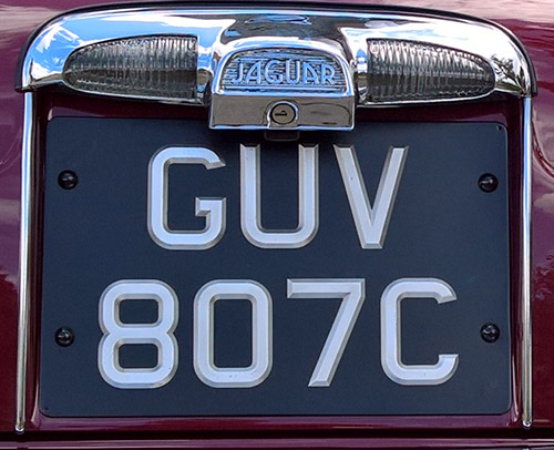 rear plate.jpg