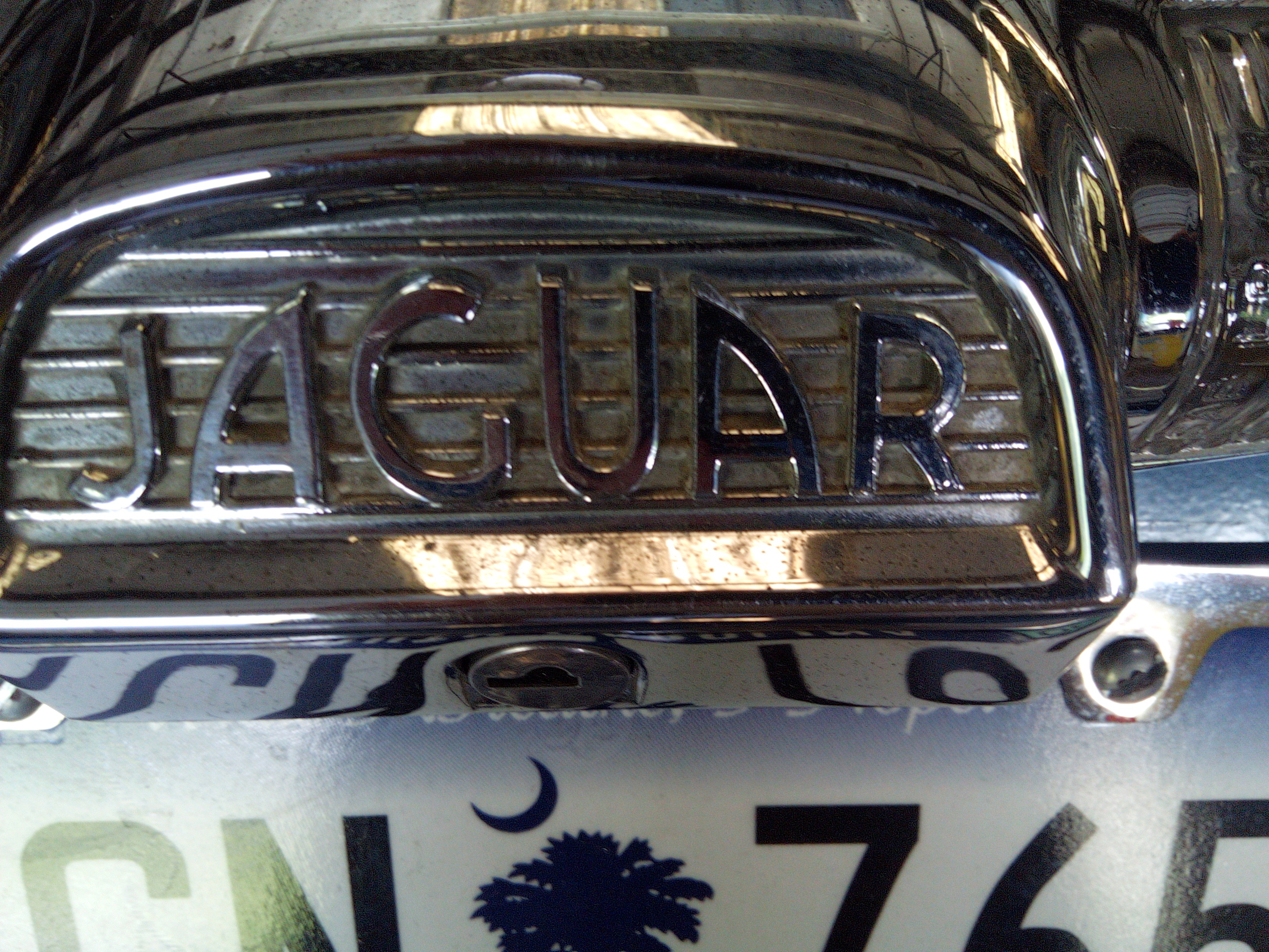 IMG_20220602_105759_180.jpg